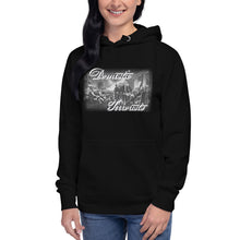 Load image into Gallery viewer, Domestic Terrorists Women's Hoodie