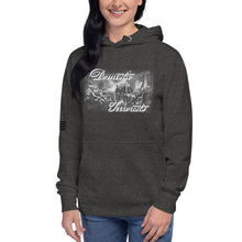 Load image into Gallery viewer, Domestic Terrorists Women's Hoodie