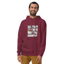 Load image into Gallery viewer, "Destroy the Virus" Hoodie