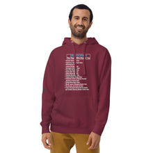 Load image into Gallery viewer, Democrat Hoaxes Men's Hoodie
