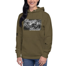 Load image into Gallery viewer, Domestic Terrorists Women's Hoodie