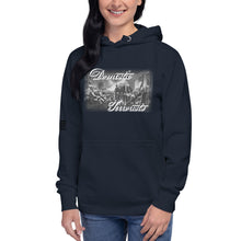 Load image into Gallery viewer, Domestic Terrorists Women's Hoodie