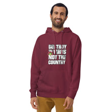 Load image into Gallery viewer, &quot;Destroy the Virus&quot; Hoodie
