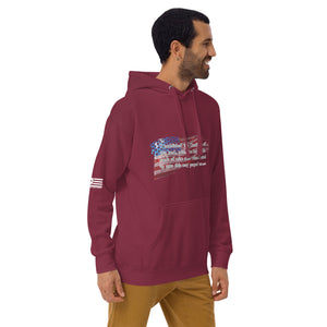 "I Established the Constitution of this Land" Men's Hoodie