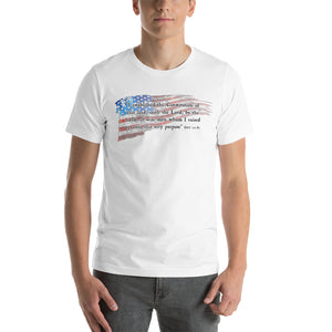 "I Established the Constitution of this Land" Men's T-shirt